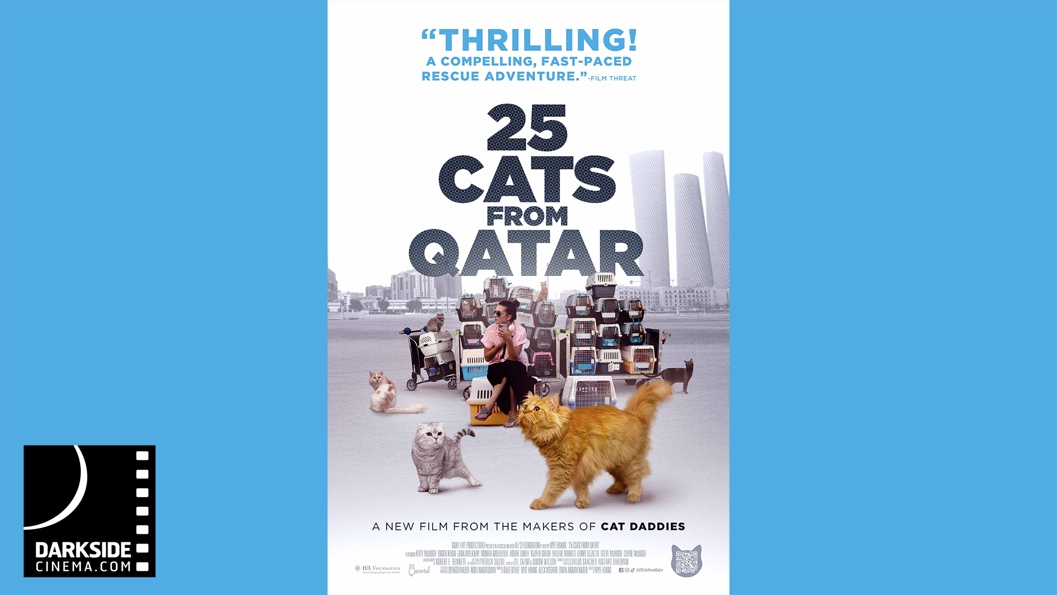 25 CATS FROM QATAR