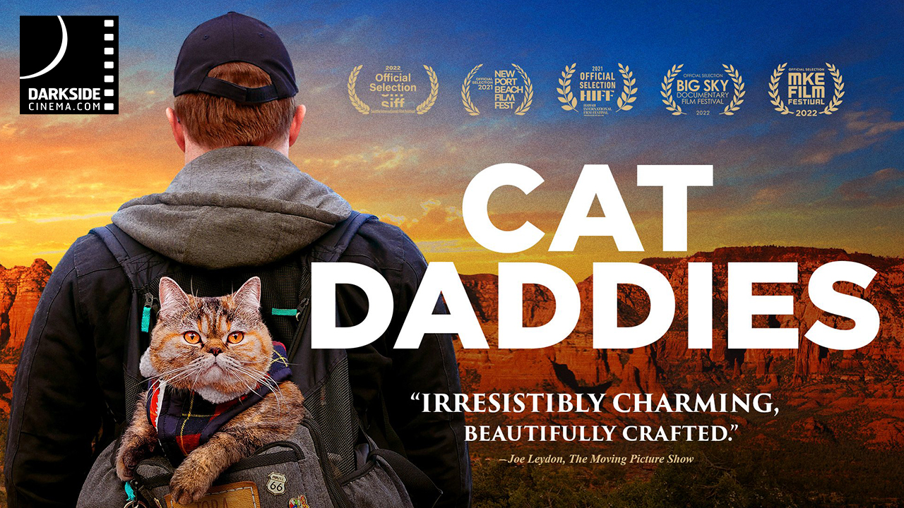 CAT DADDIES movie poster